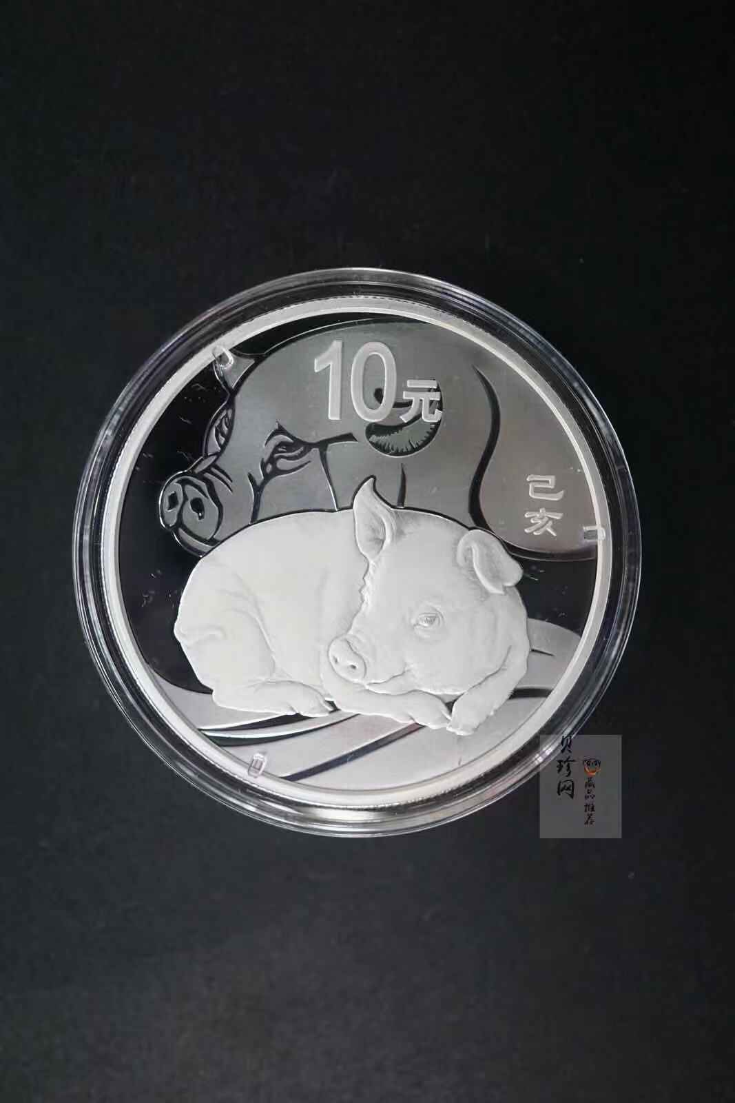 2019中国己亥（猪）年生肖精制金银币2枚一套